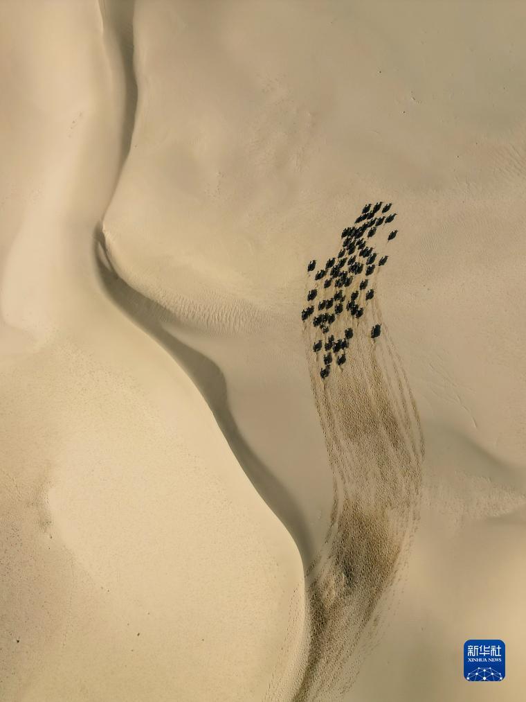 微星棋牌论坛